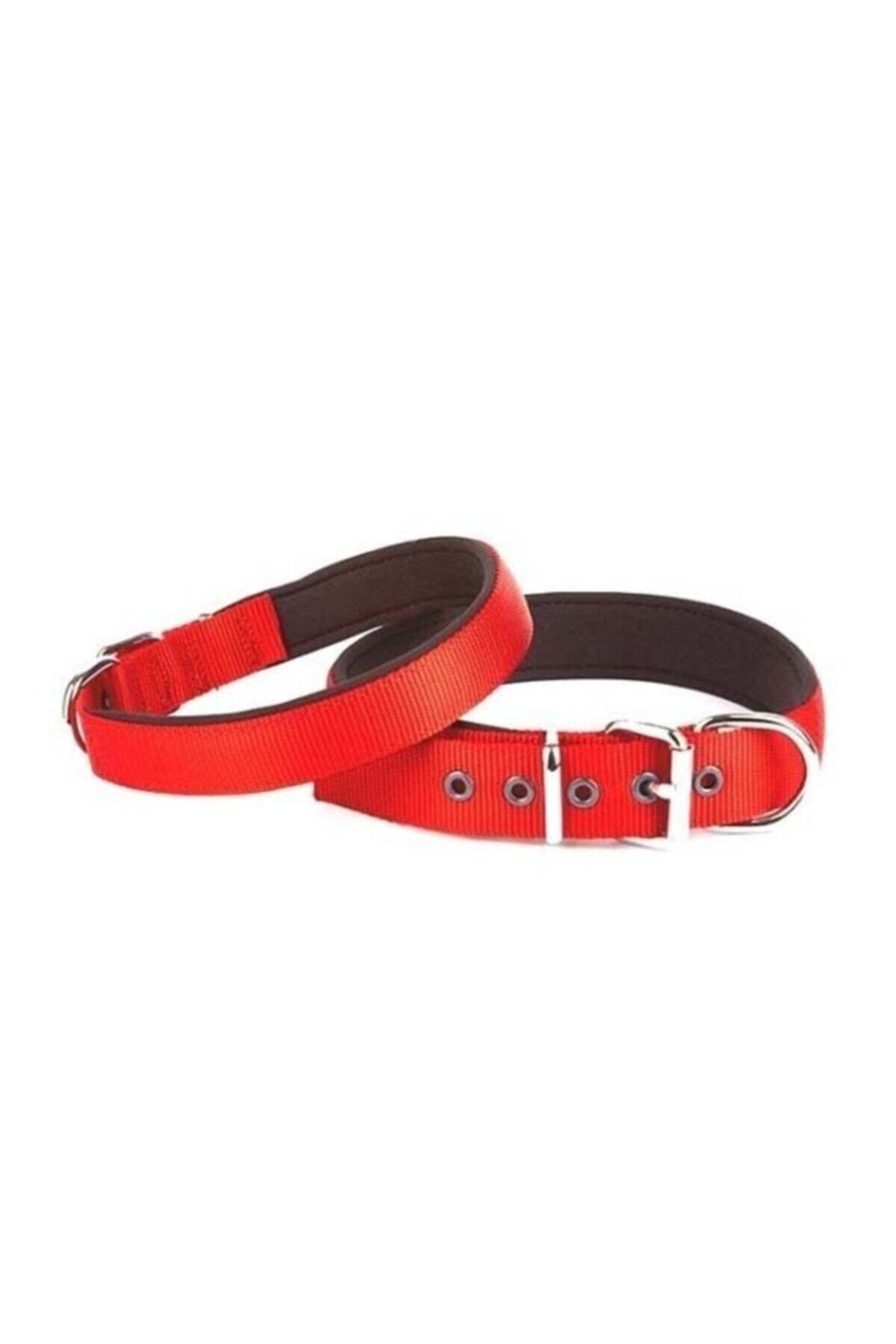 Doggie Dokuma Köpek Boyun Tasması Kırmızı - 2.5x37-45 cm