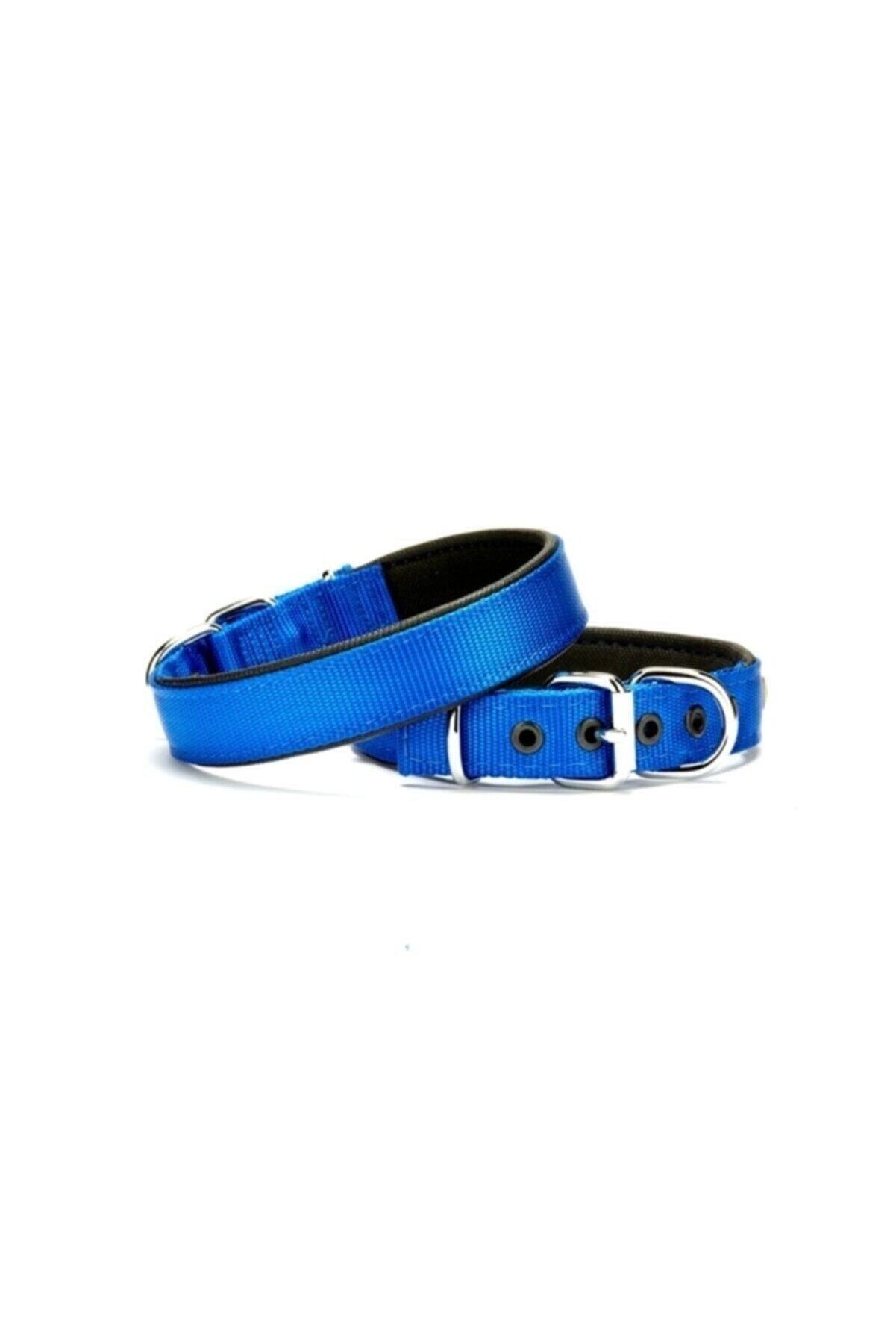 Doggie Dokuma Köpek Boyun Tasması Mavi - 2.5x37-45 cm