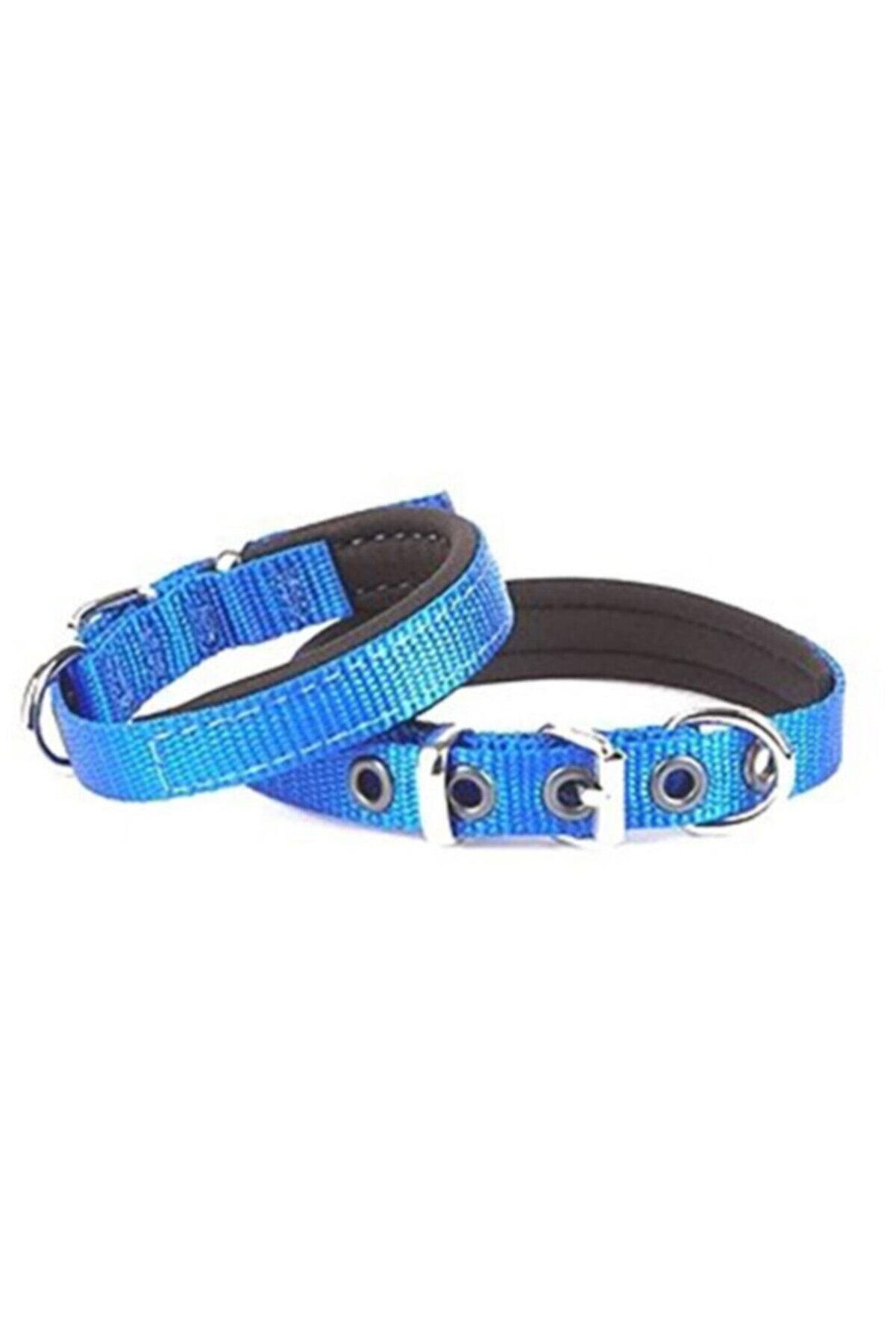 Doggie Dokuma Köpek Boyun Tasması Mavi - 3x47-55 cm
