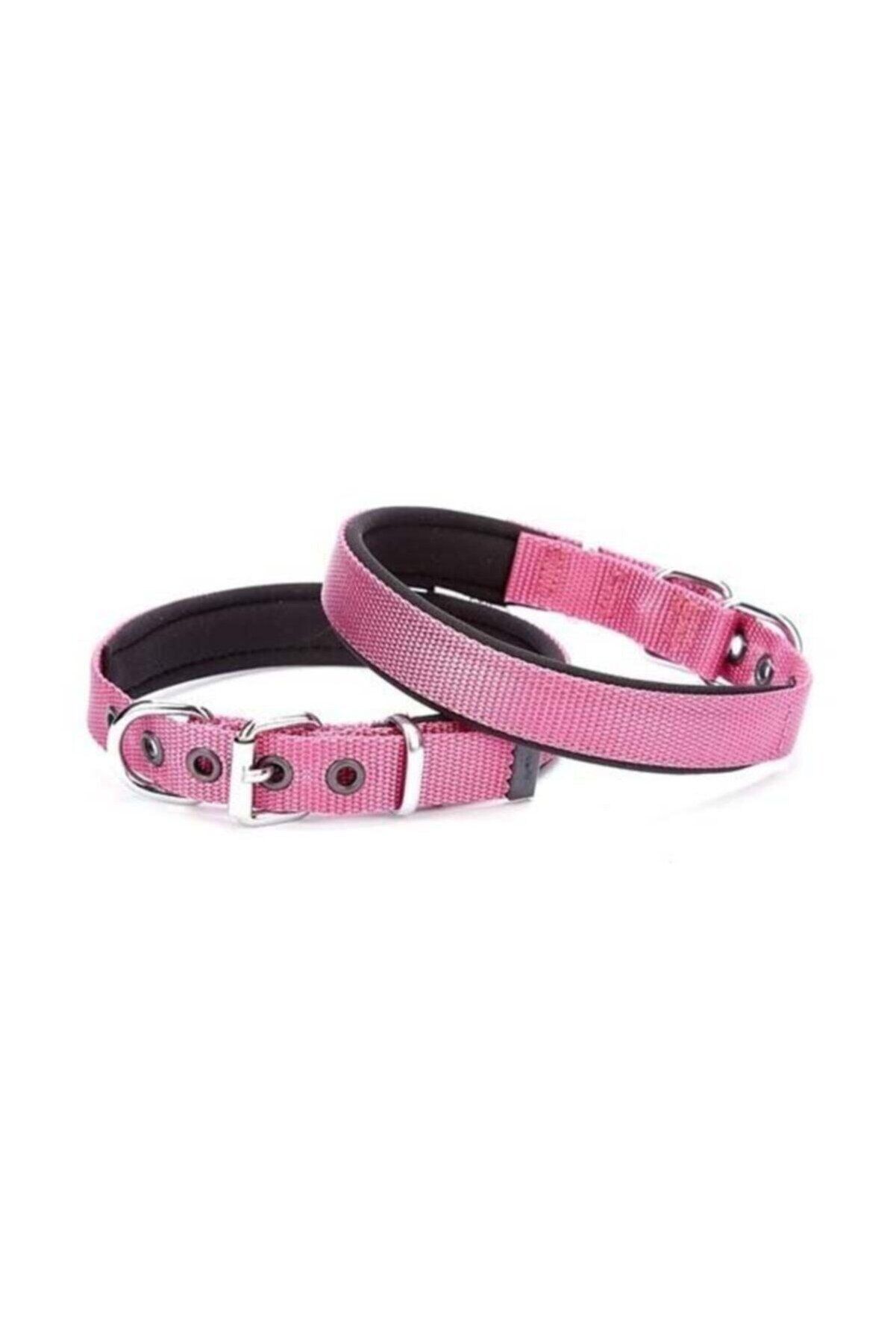 Doggie Dokuma Köpek Boyun Tasması Mor - 2x35-40 cm
