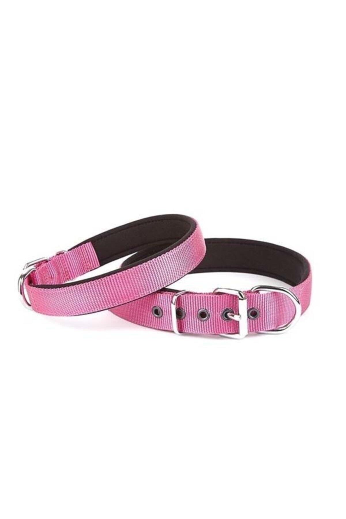 Doggie Dokuma Köpek Boyun Tasması Mor - 3x47-55 cm