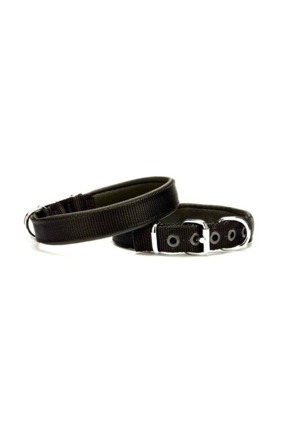 Doggie Dokuma Köpek Boyun Tasması Siyah - 2x35-40 cm