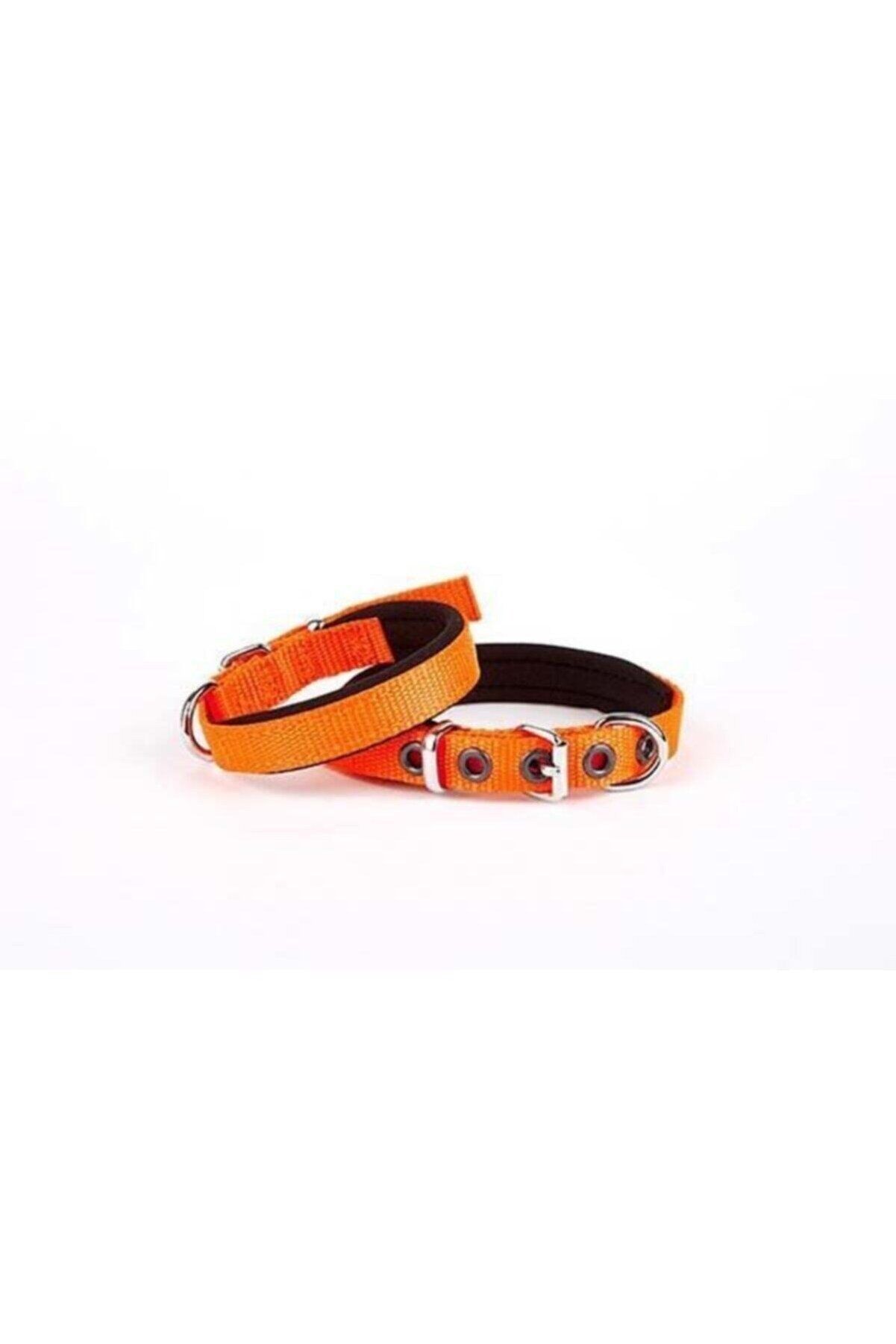 Doggie Dokuma Köpek Boyun Tasması Turuncu - 1.5x20-25 cm