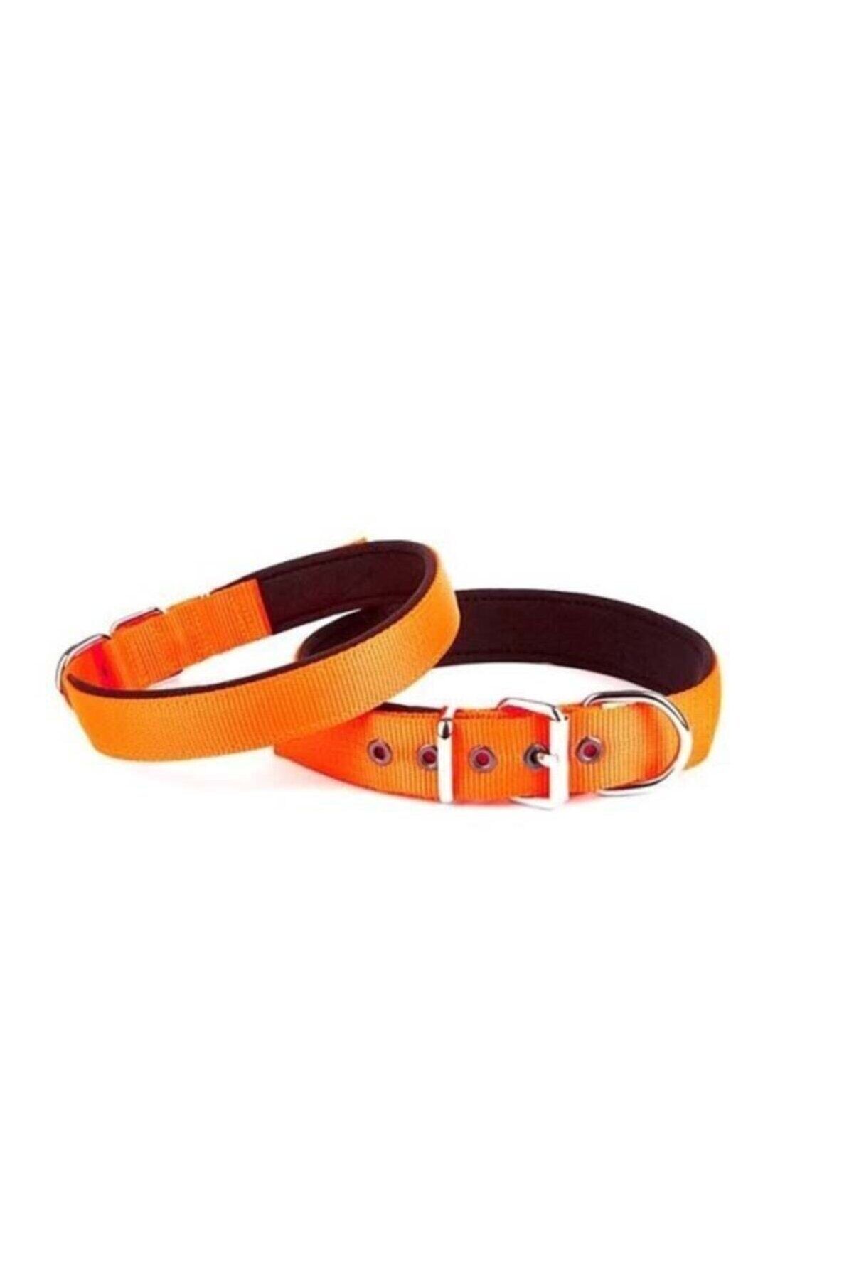 Doggie Dokuma Köpek Boyun Tasması Turuncu - 2.5x37-45 cm