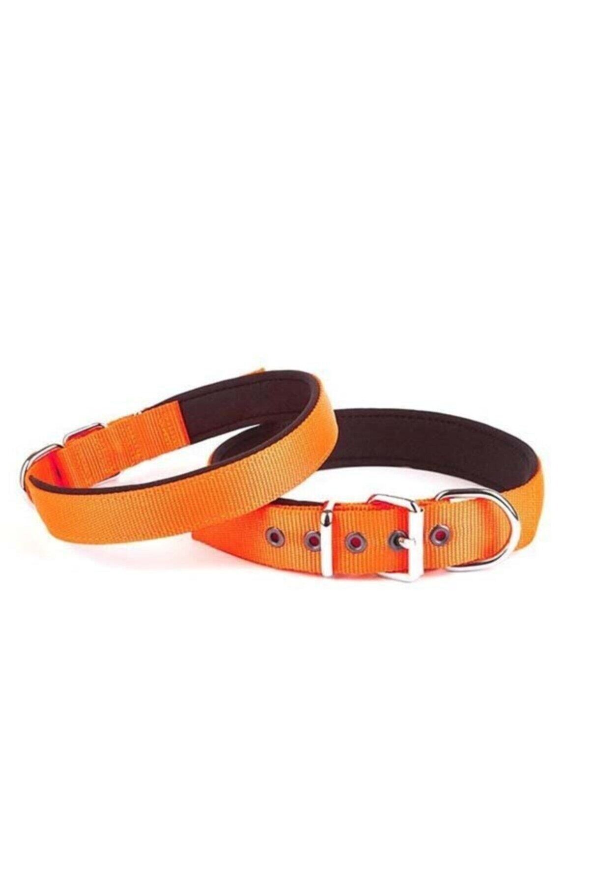 Doggie Dokuma Köpek Boyun Tasması Turuncu - 3x42-50 cm