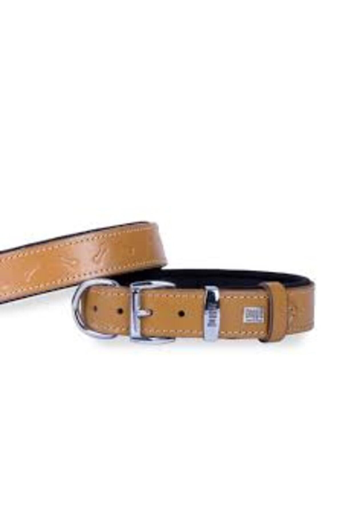 Doggie Kemikli Deri Köpek Boyun Tasması Kamel - 2*30-35 cm