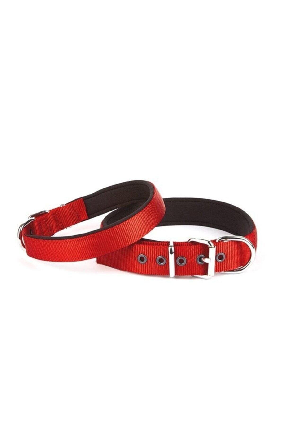 Doggie Palaska Köpek Boyun Tasması Kırmızı - 5x55-65 cm