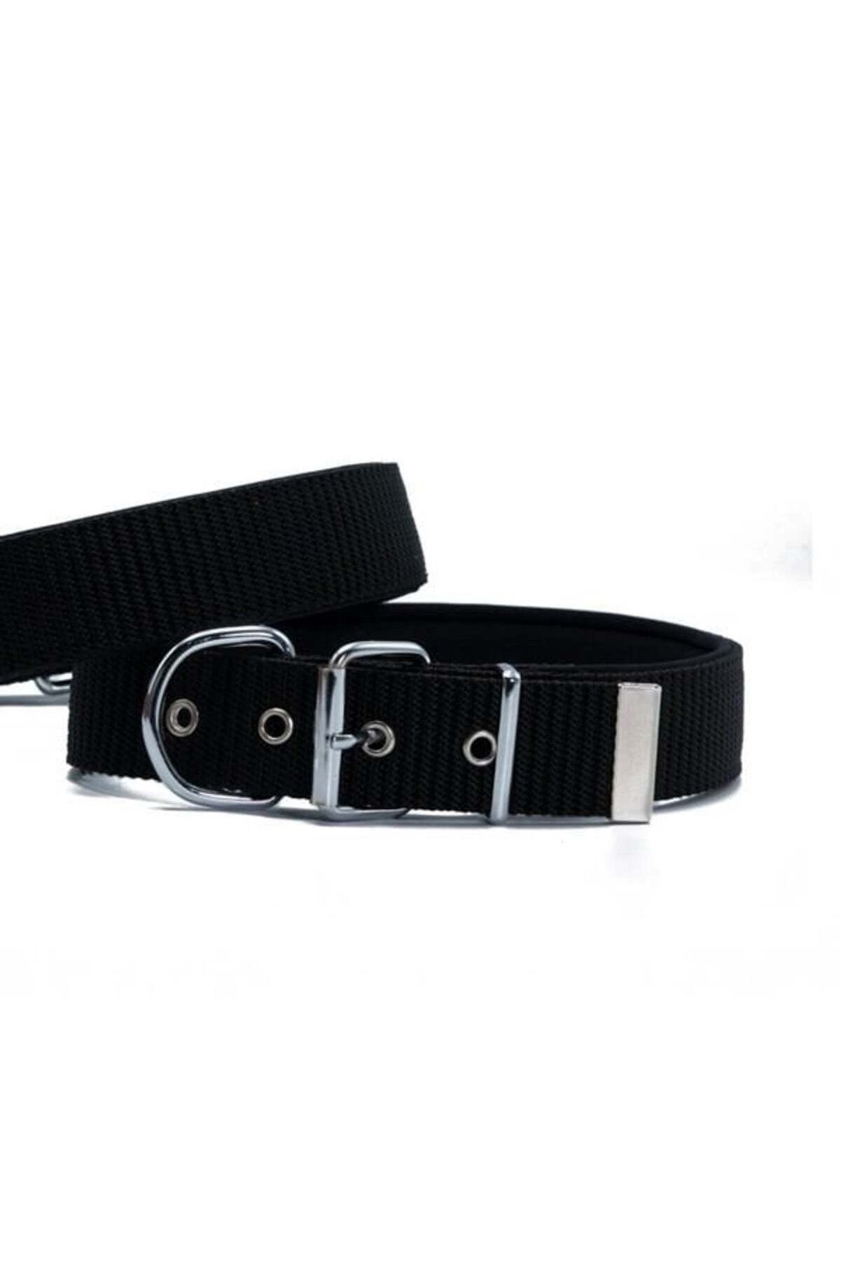 Doggie Palaska Köpek Boyun Tasması Siyah - 5x50-60 cm