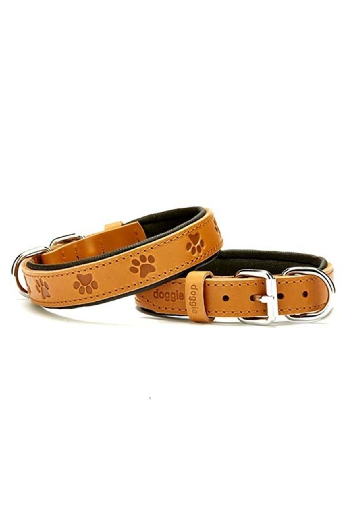 Doggie Patili Deri Köpek Boyun Tasması Kamel - 2.5x37-45 cm