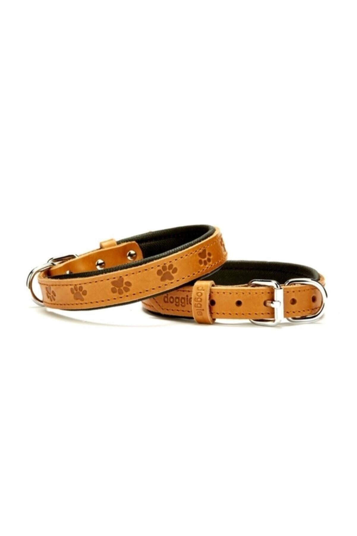 Doggie Patili Deri Köpek Boyun Tasması Kamel - 2x35-40 cm