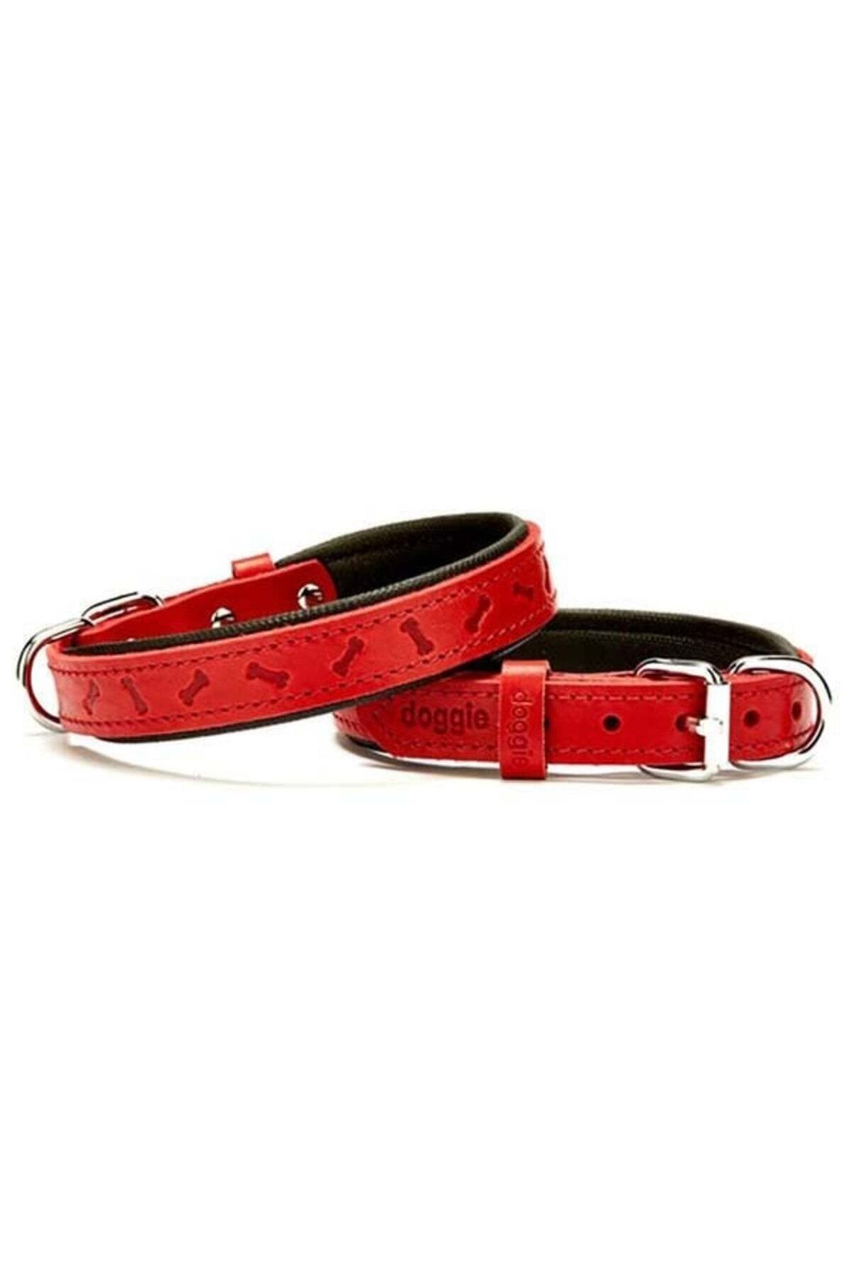 Doggie Patili Deri Köpek Boyun Tasması Kırmızı - 2x30-35 cm