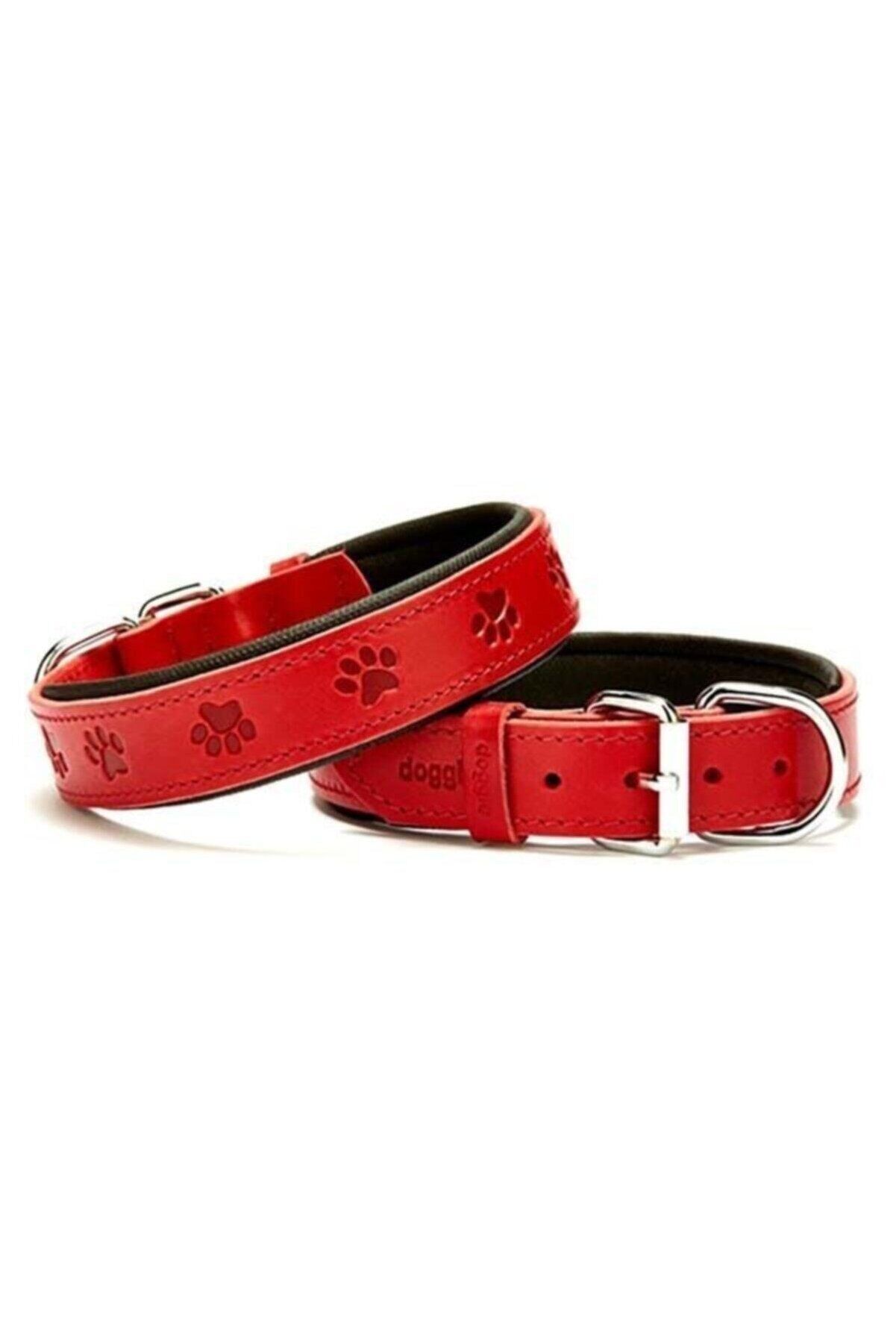 Doggie Patili Deri Köpek Boyun Tasması Kırmızı - 3x42-50 cm