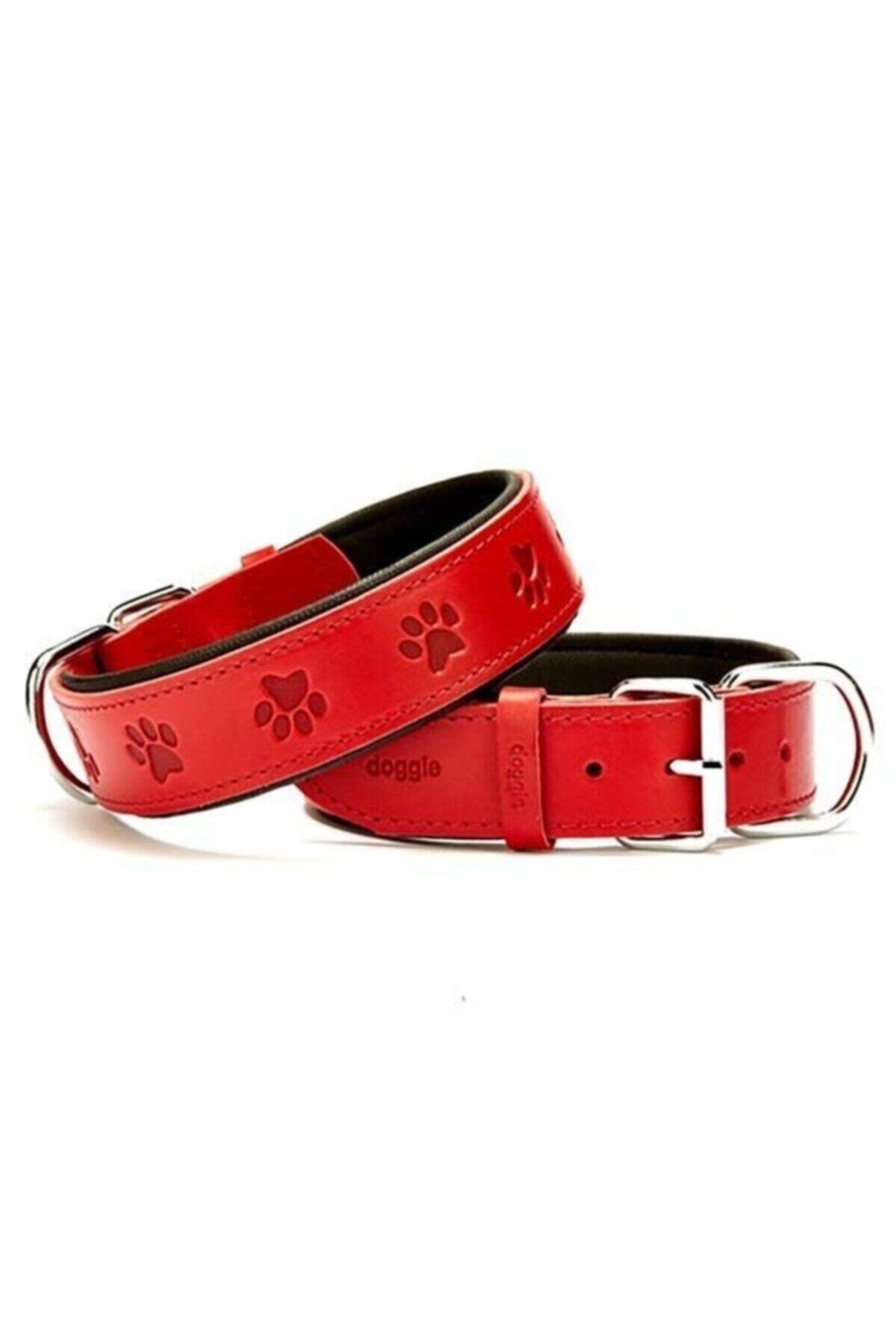 Doggie Patili Deri Köpek Boyun Tasması Kırmızı - 4x52-60 cm