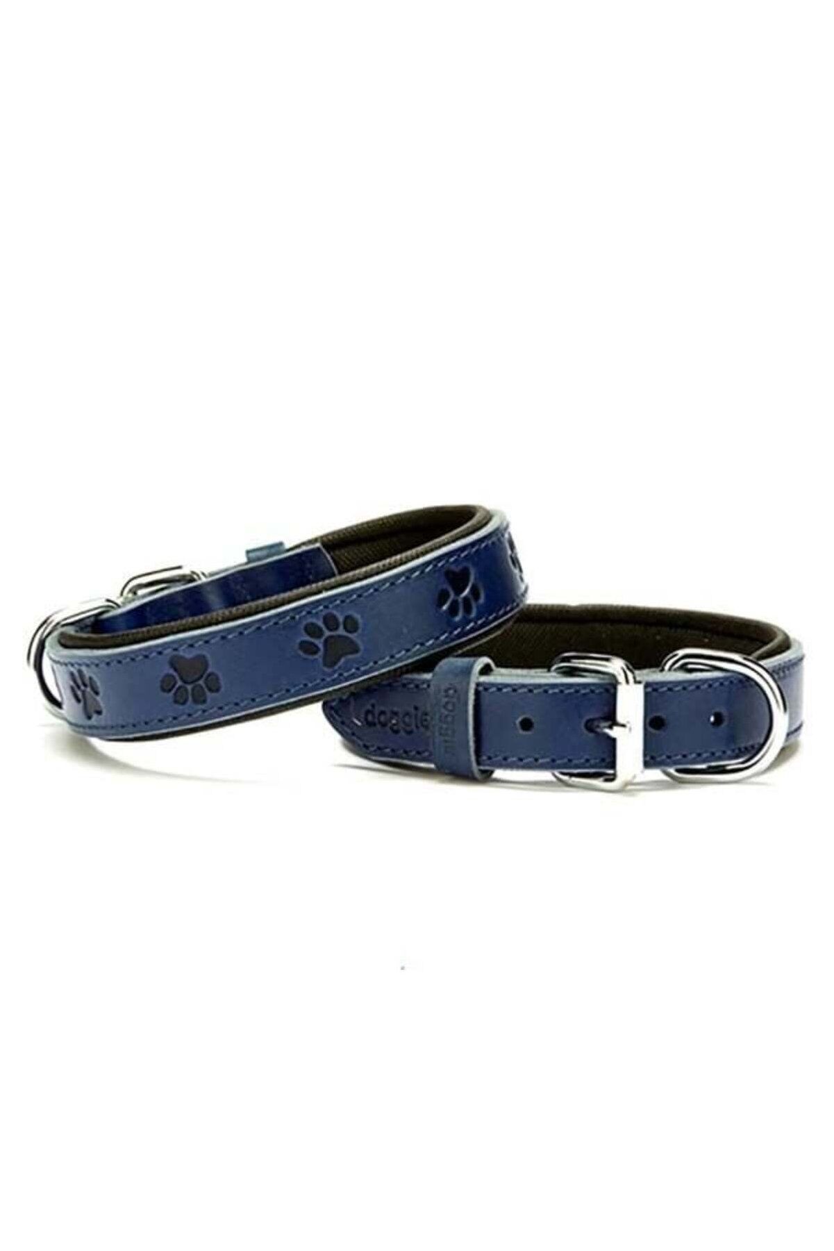 Doggie Patili Deri Köpek Boyun Tasması Mavi - 2.5x37-45 cm