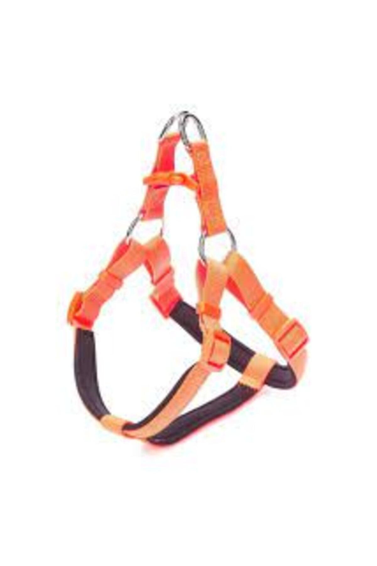 Doggie Ronin Dokuma Köpek Göğüs Tasması Turuncu - XL 65-75 cm