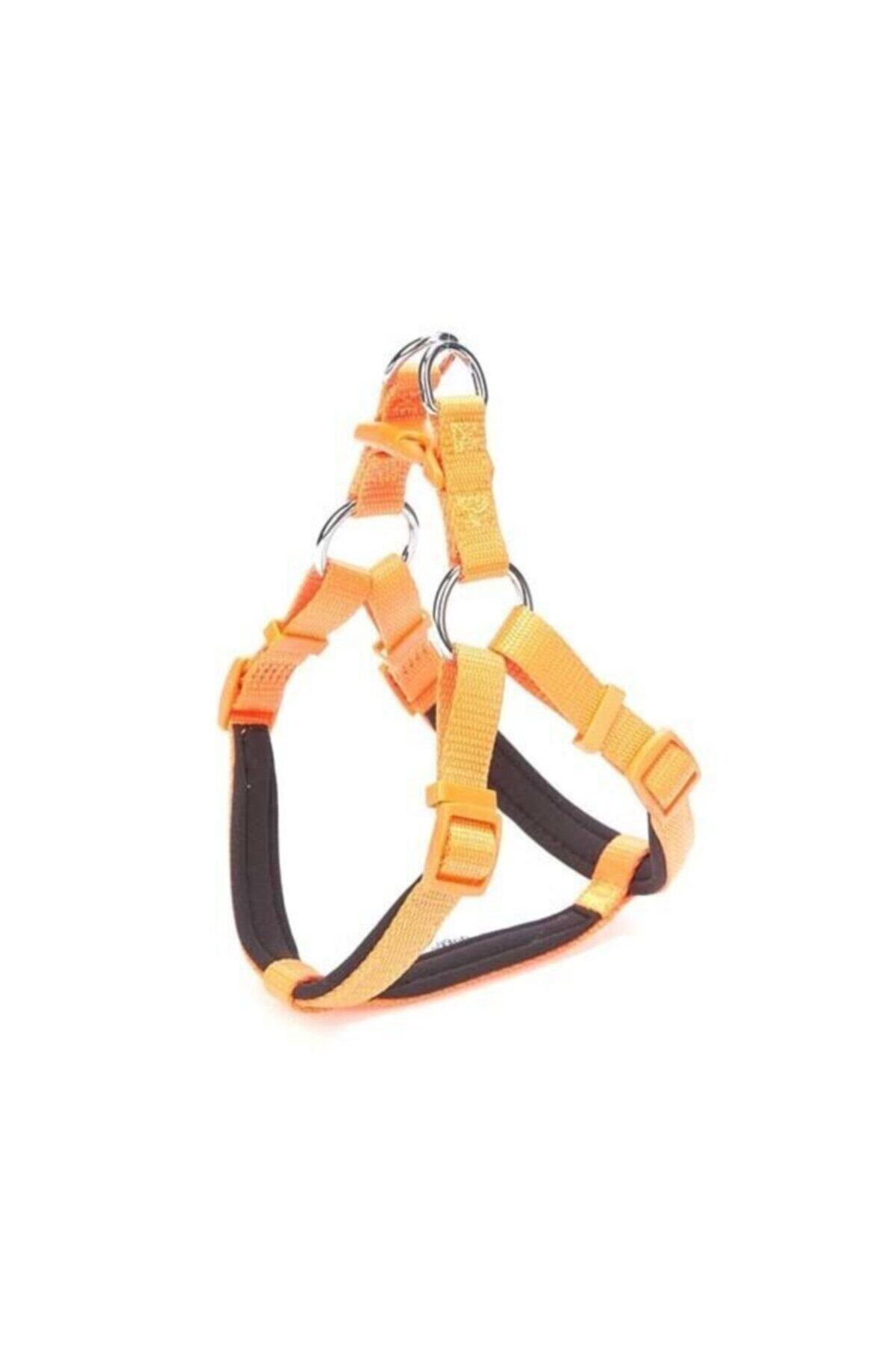 Doggie Ronin Dokuma Köpek Göğüs Tasması Turuncu - XS 35-45 cm