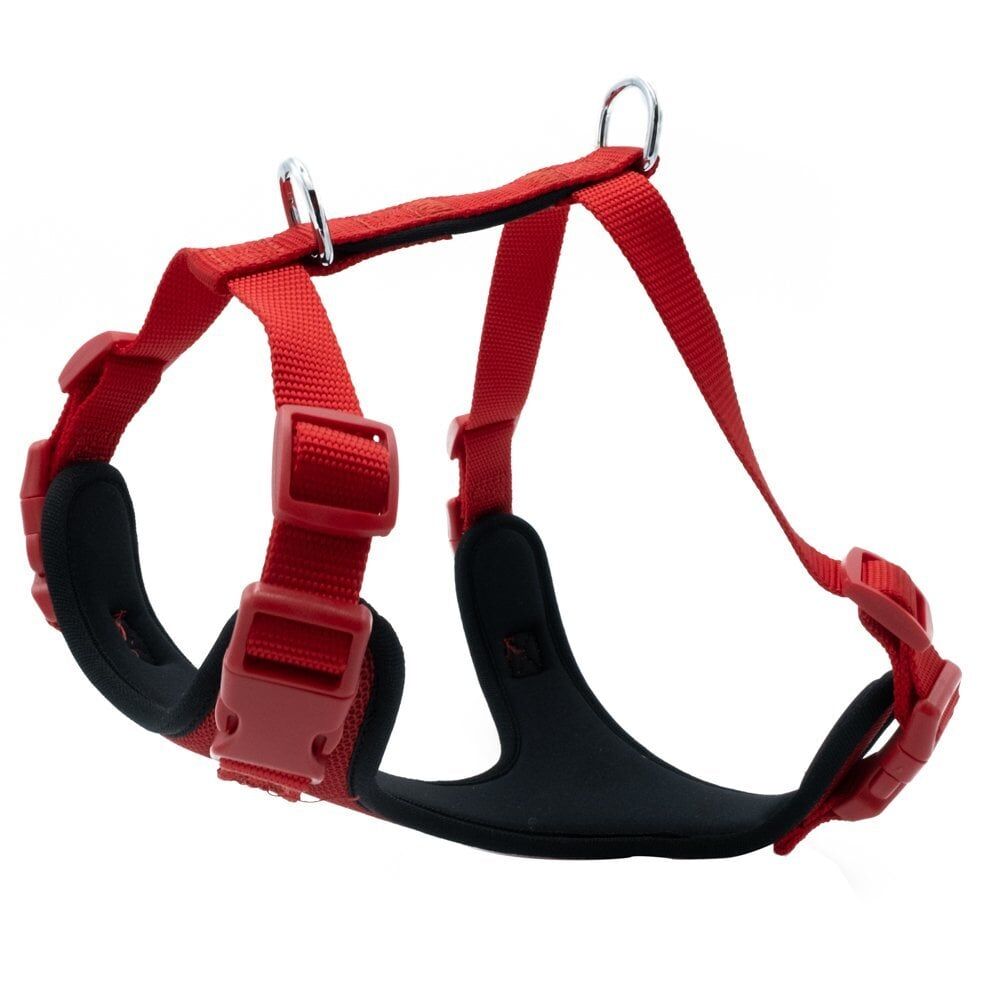 Doggie Yumuşak Dolgulu Köpek Göğüs Tasması Kırmızı - XL 65-75 cm