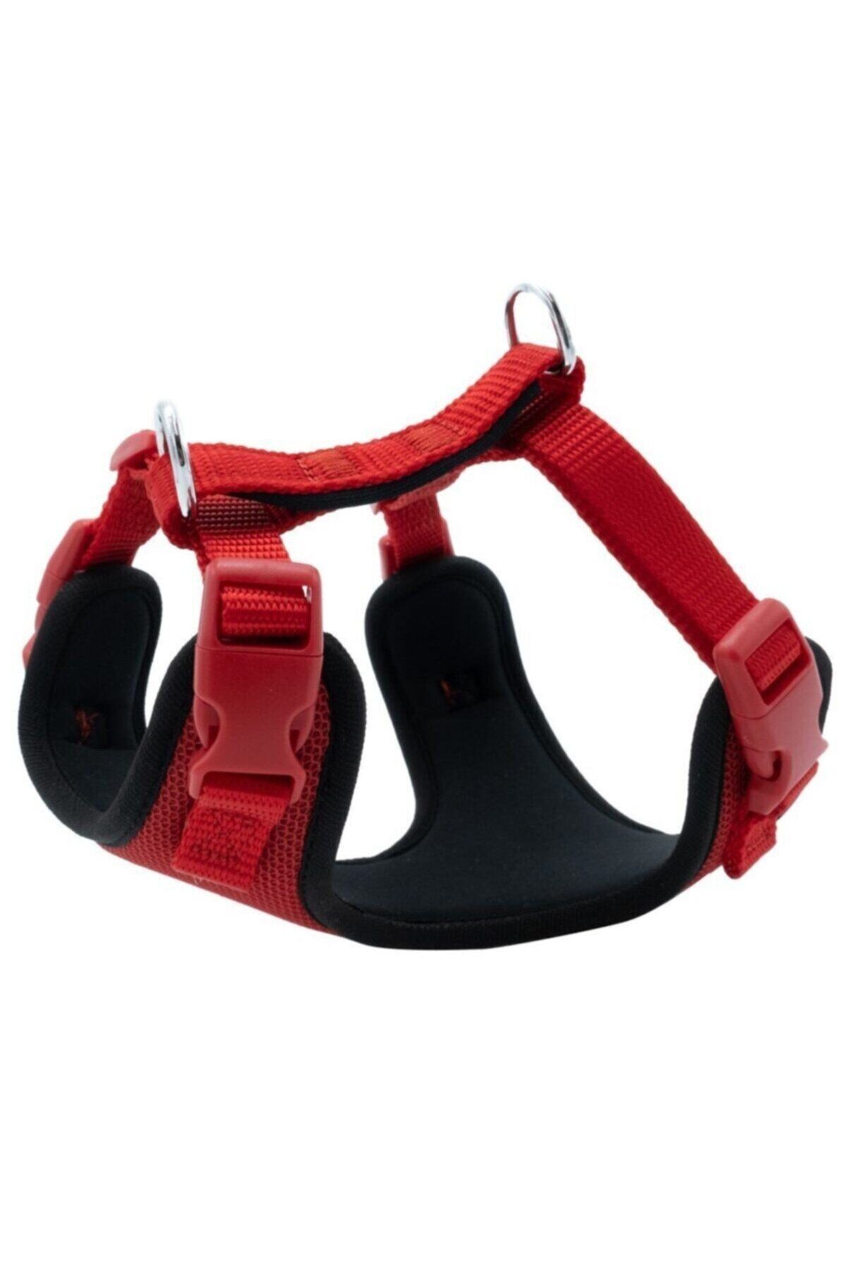 Doggie Yumuşak Dolgulu Köpek Göğüs Tasması Kırmızı - XS 35-45 cm