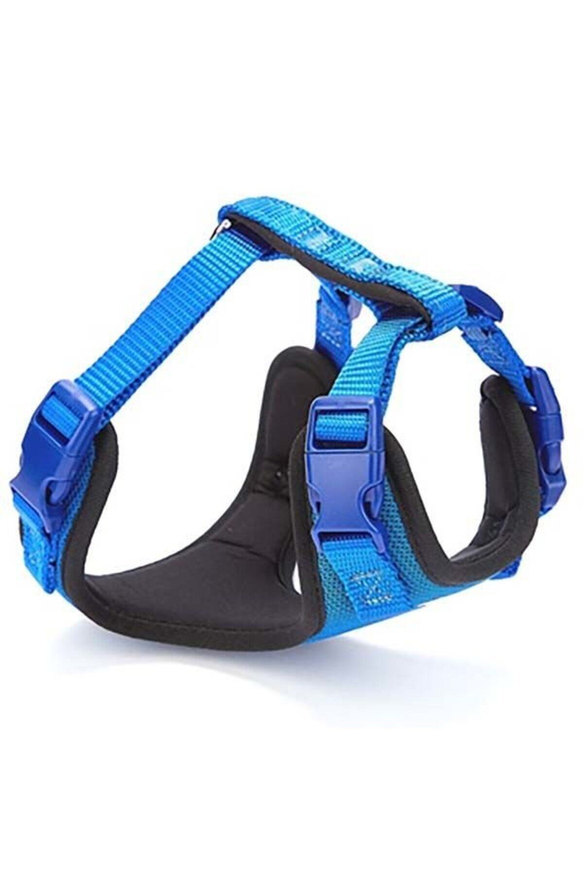 Doggie Yumuşak Dolgulu Köpek Göğüs Tasması Mavi - XS 35-45 cm