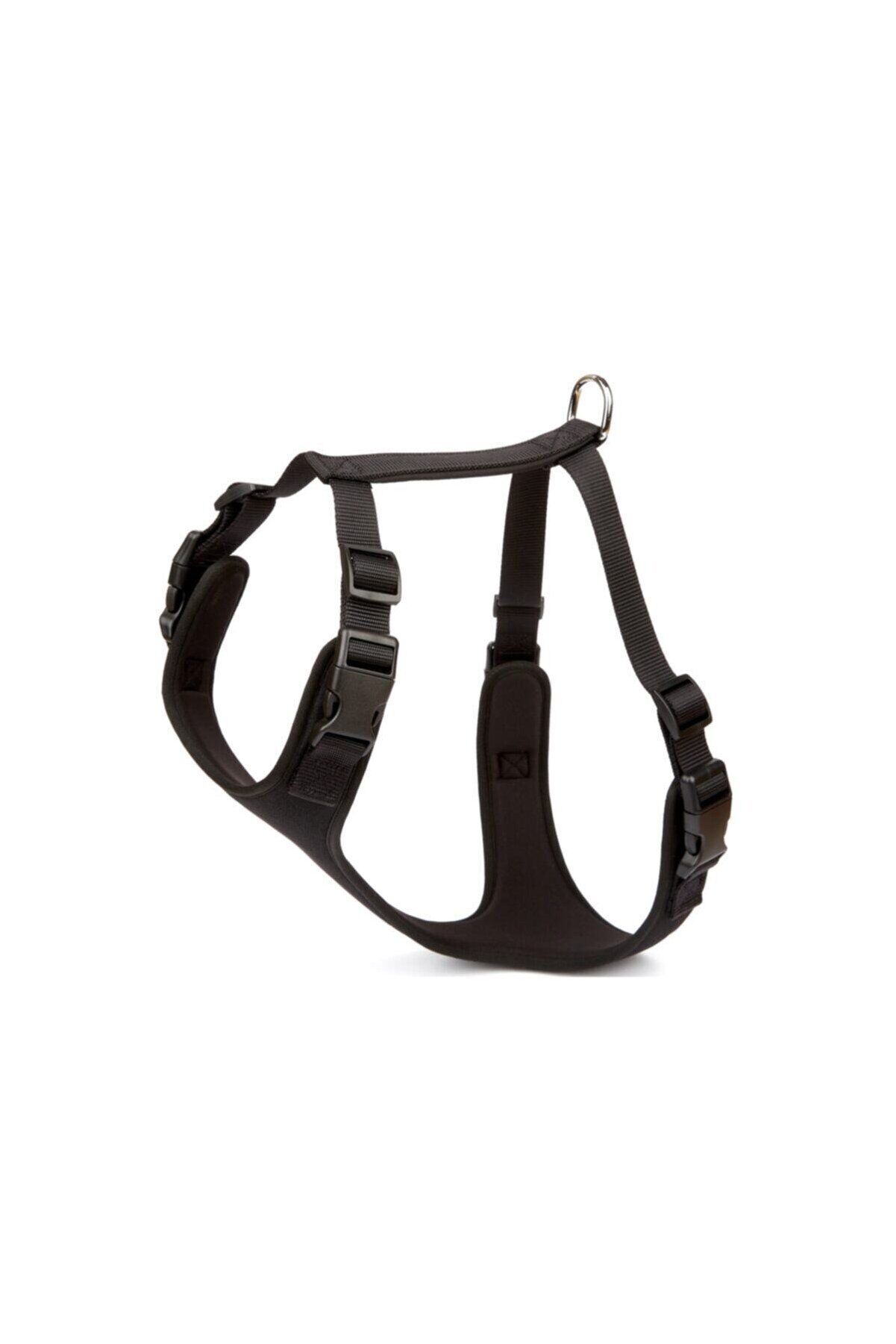 Doggie Yumuşak Dolgulu Köpek Göğüs Tasması Siyah - XL 65-75 cm