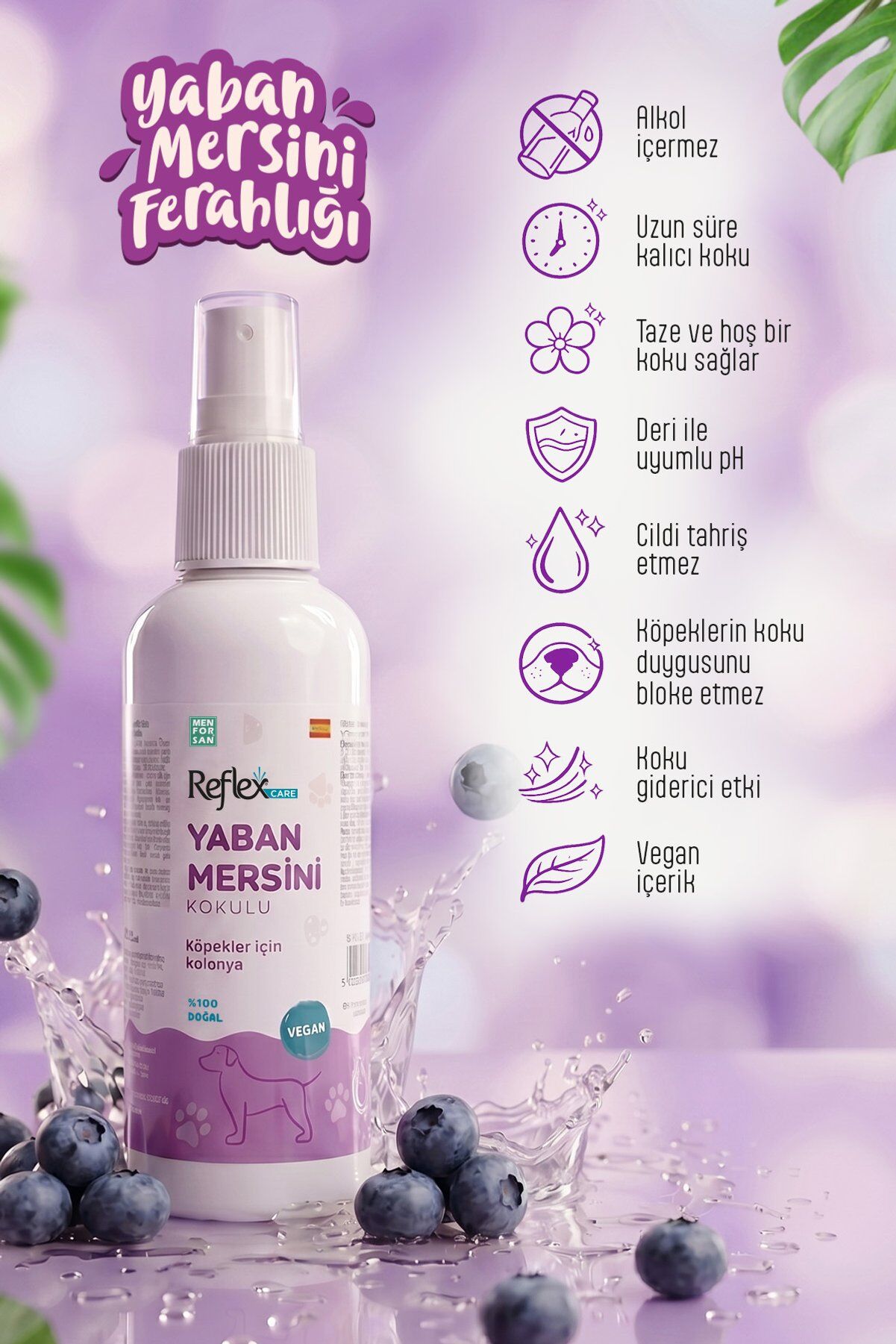 Reflex Care Köpek Kolonyası Yaban Mersini