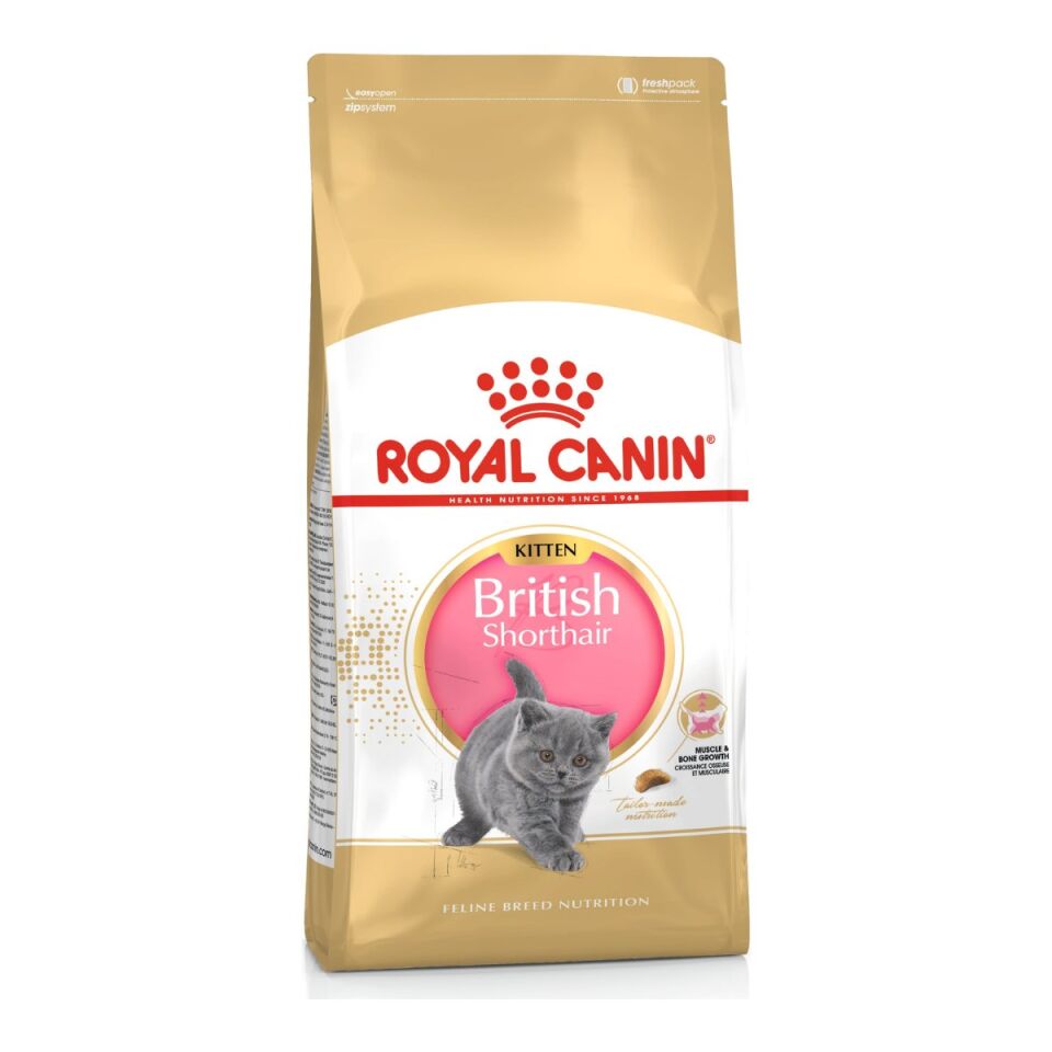 Royal Canin British Shorthair Kitten Yavru Kedi Maması 2 kg ambalajı