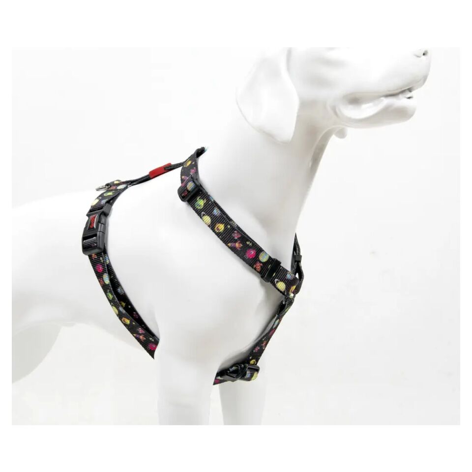 Tailpetz H-Type Desenli Köpek Göğüs Tasması Space - L ürün görseli