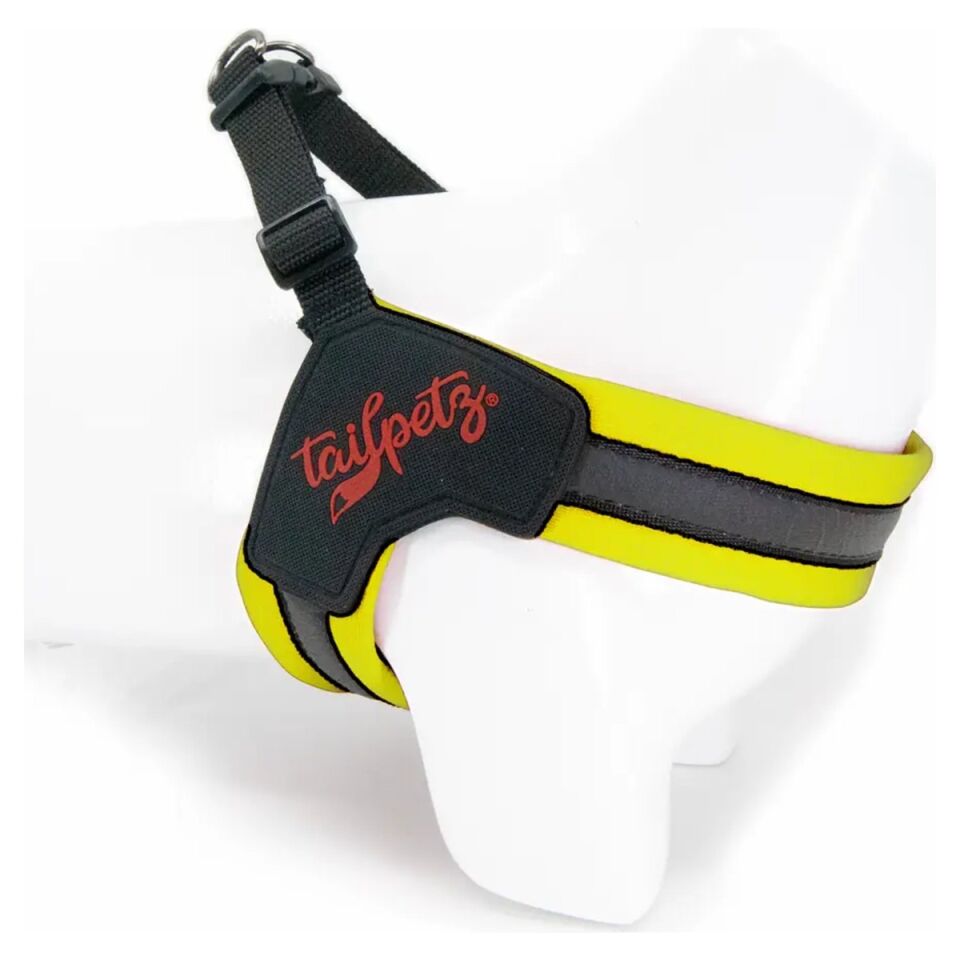 Tailpetz V-Harness Köpek Göğüs Tasması Neon Limon - XL ürün görseli