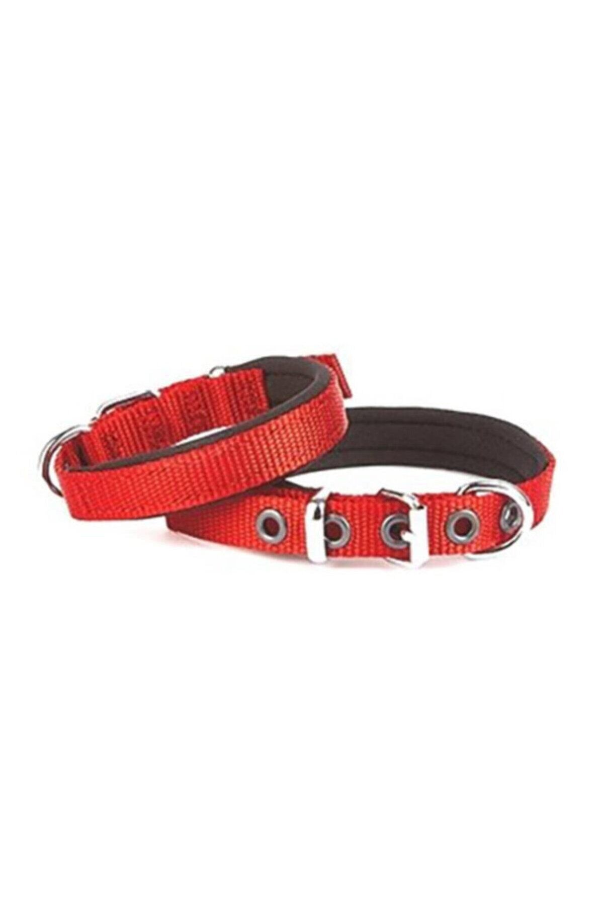 Doggie Dokuma Köpek Boyun Tasması Kırmızı - 2x35-40 cm