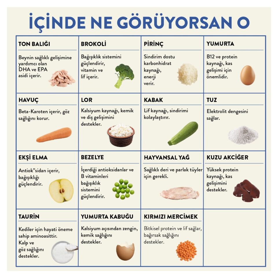 Kito Fresh Taze İçerikli Yaş Kedi Yemeği 80 g Ton Balıklı ürün detay görseli 3