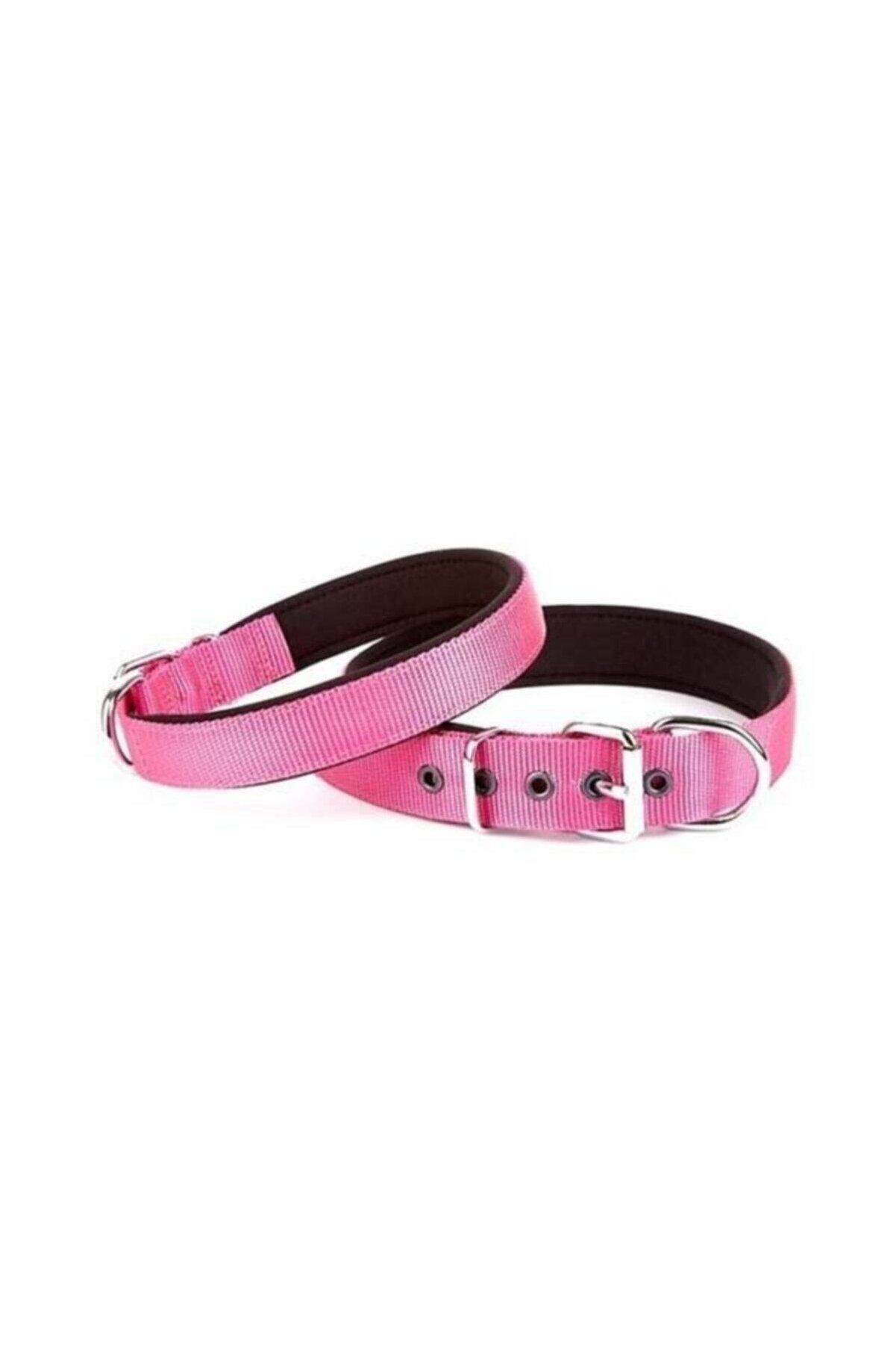 Doggie Dokuma Köpek Boyun Tasması Mor - 2.5x37-45 cm