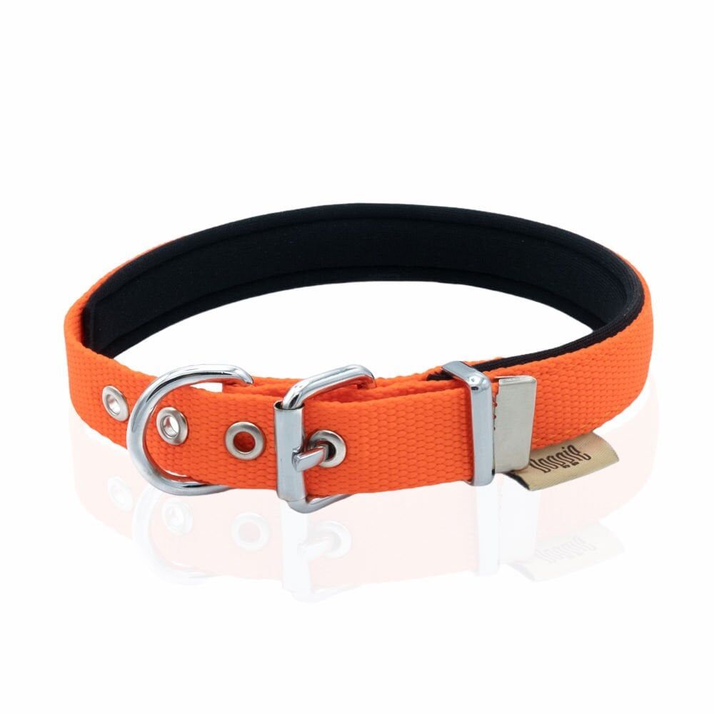 Doggie Dokuma Köpek Boyun Tasması Sarı - 2x30-35 cm