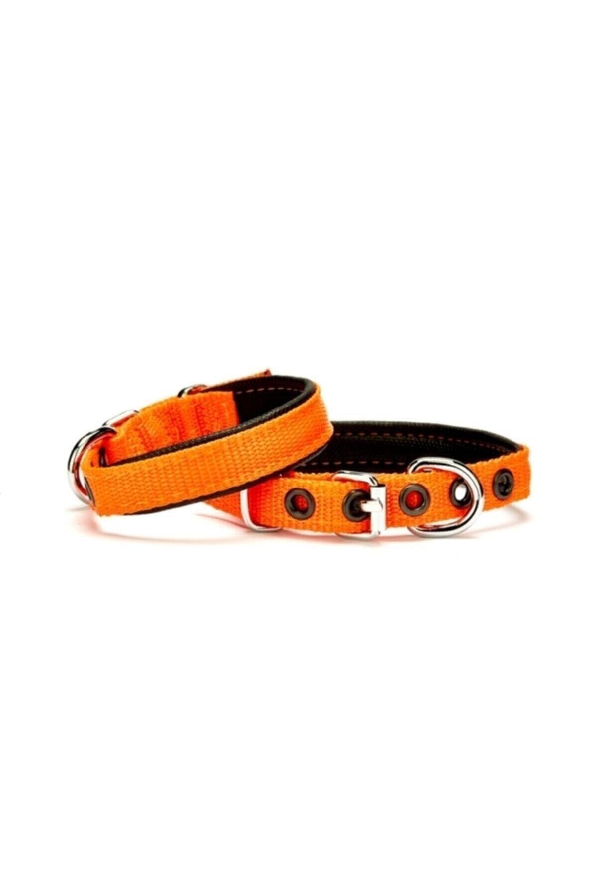 Doggie Dokuma Köpek Boyun Tasması Turuncu - 1.5x25-30 cm