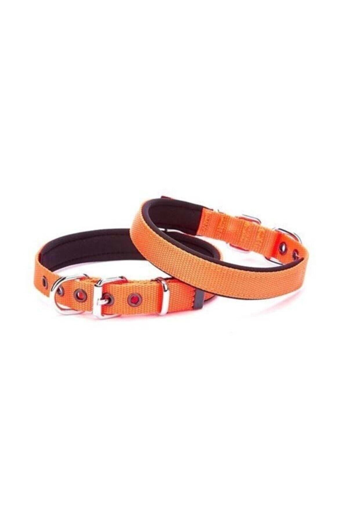 Doggie Dokuma Köpek Boyun Tasması Turuncu - 2x30-35 cm