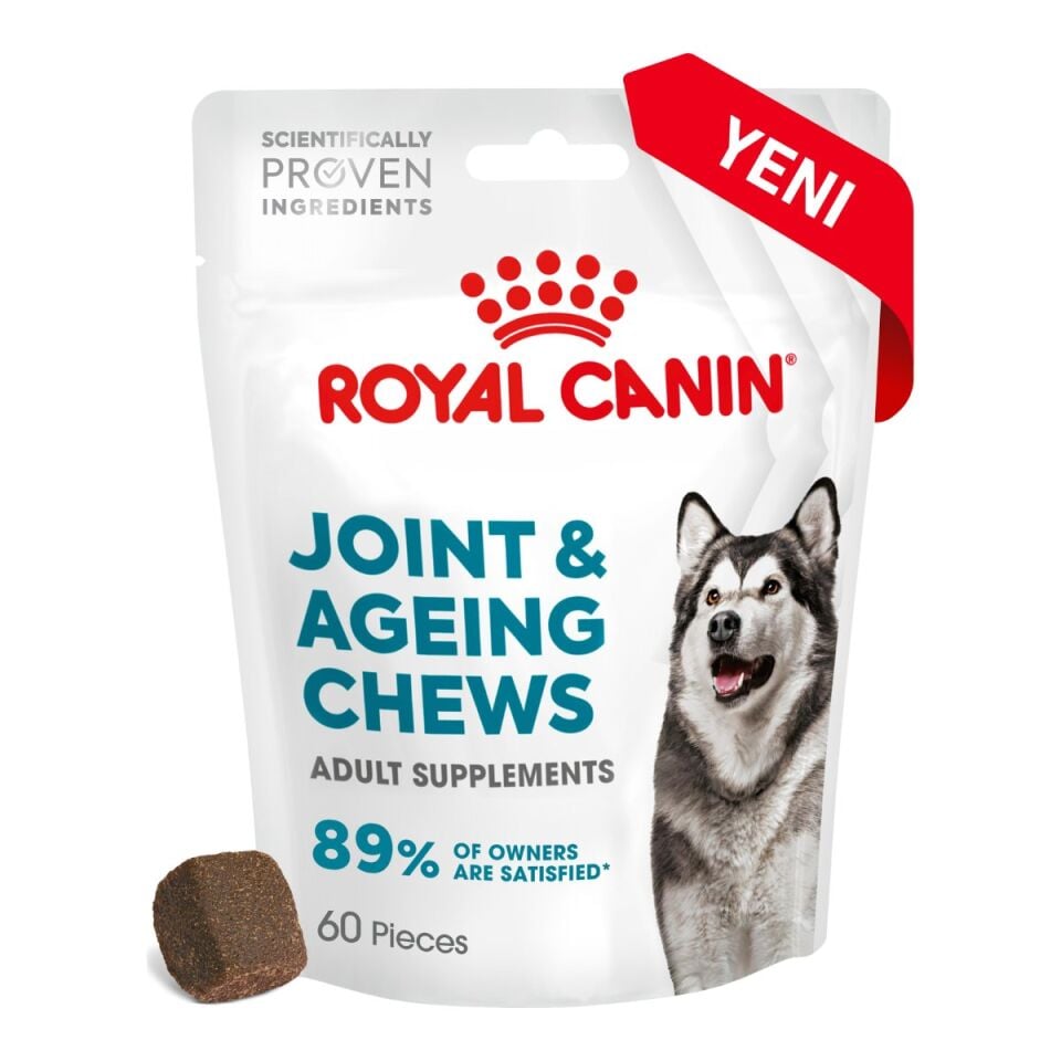 Royal Canin Joint & Ageing Chews Eklem Destekli Köpek Ödül Maması 240 g ambalajı