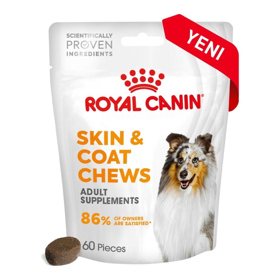 Royal Canin Skin & Coat Chews Tüy Destekli Köpek Ödül Maması 240 g ambalajı