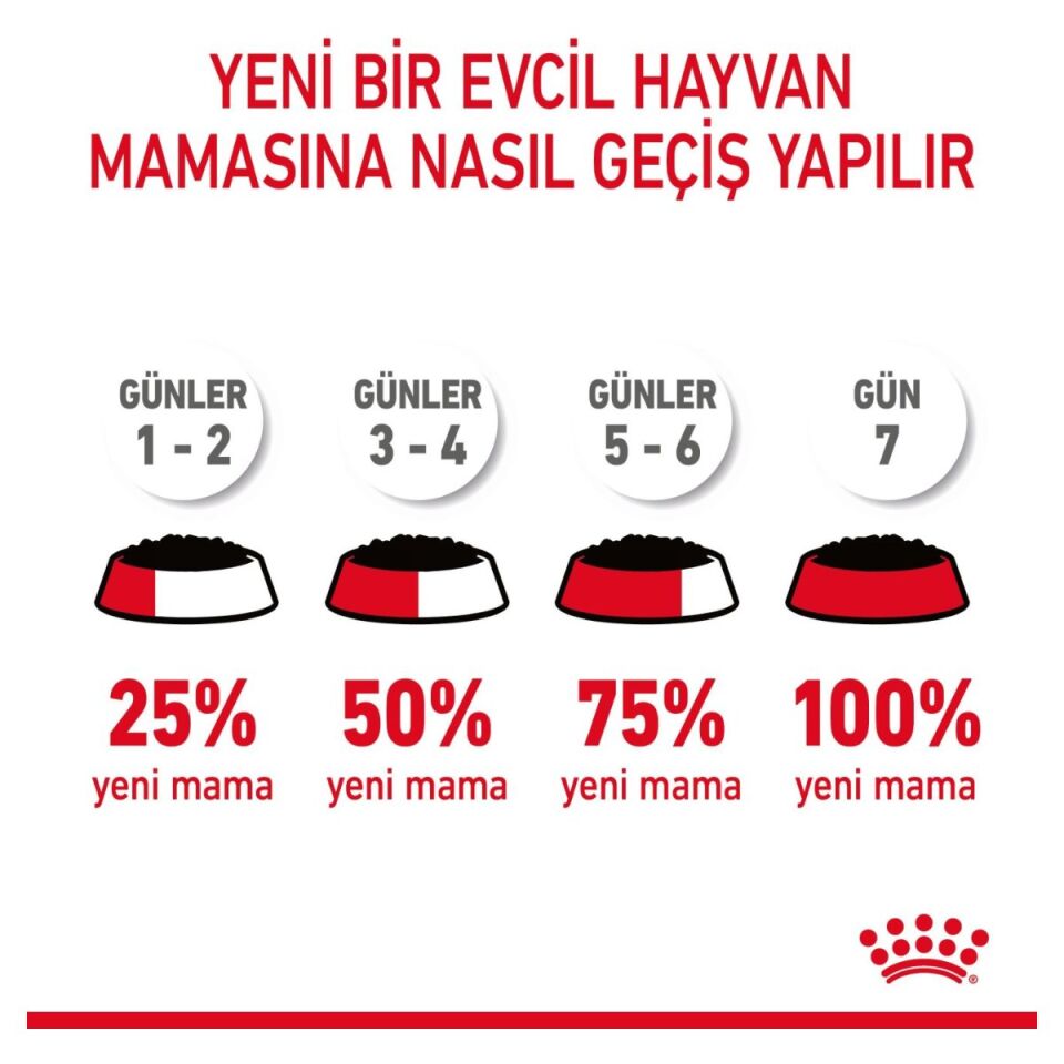 Royal Canin Hair & Skin Care Yetişkin Kedi Yaş Maması 85 g Sos İçinde mamaya geçiş tablosu