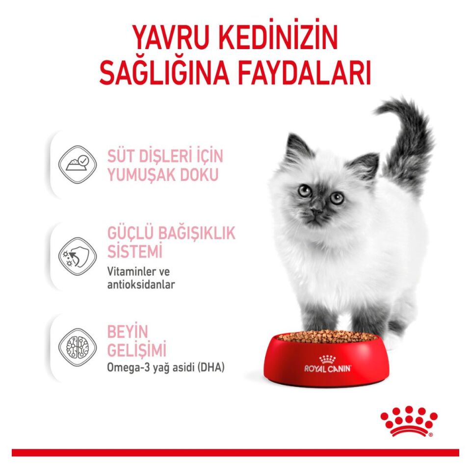 Royal Canin Kitten Yavru Kedi Yaş Maması 85 g Sos İçinde sağlığa faydaları