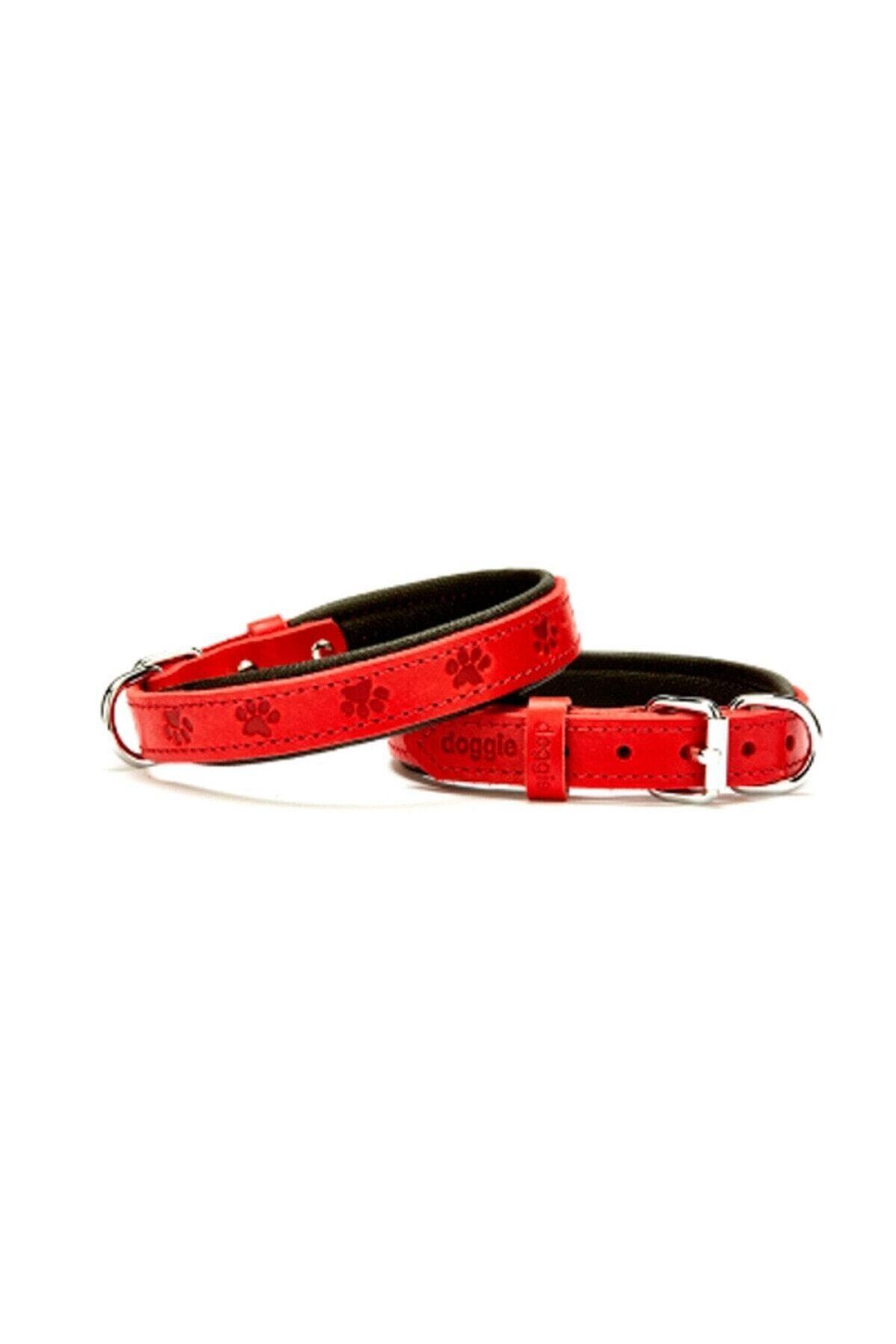 Doggie Patili Deri Köpek Boyun Tasması Kırmızı - 2x35-40 cm