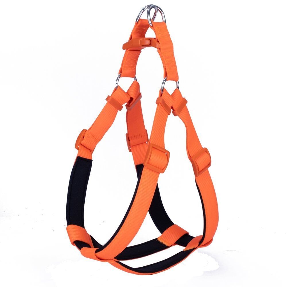 Doggie Ronin Dokuma Köpek Göğüs Tasması Turuncu - 3XL 75-85 cm