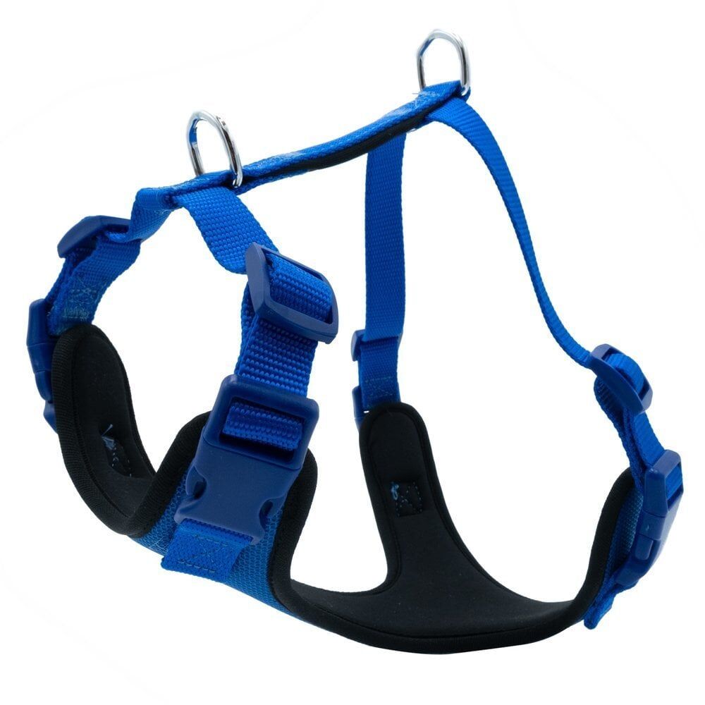 Doggie Yumuşak Dolgulu Köpek Göğüs Tasması Mavi - M 45-55 cm