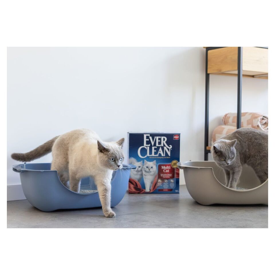 Ever Clean Multi Cat Çok Kedili Evler İçin Topaklanan Kedi Kumu 10 L kullanım görseli
