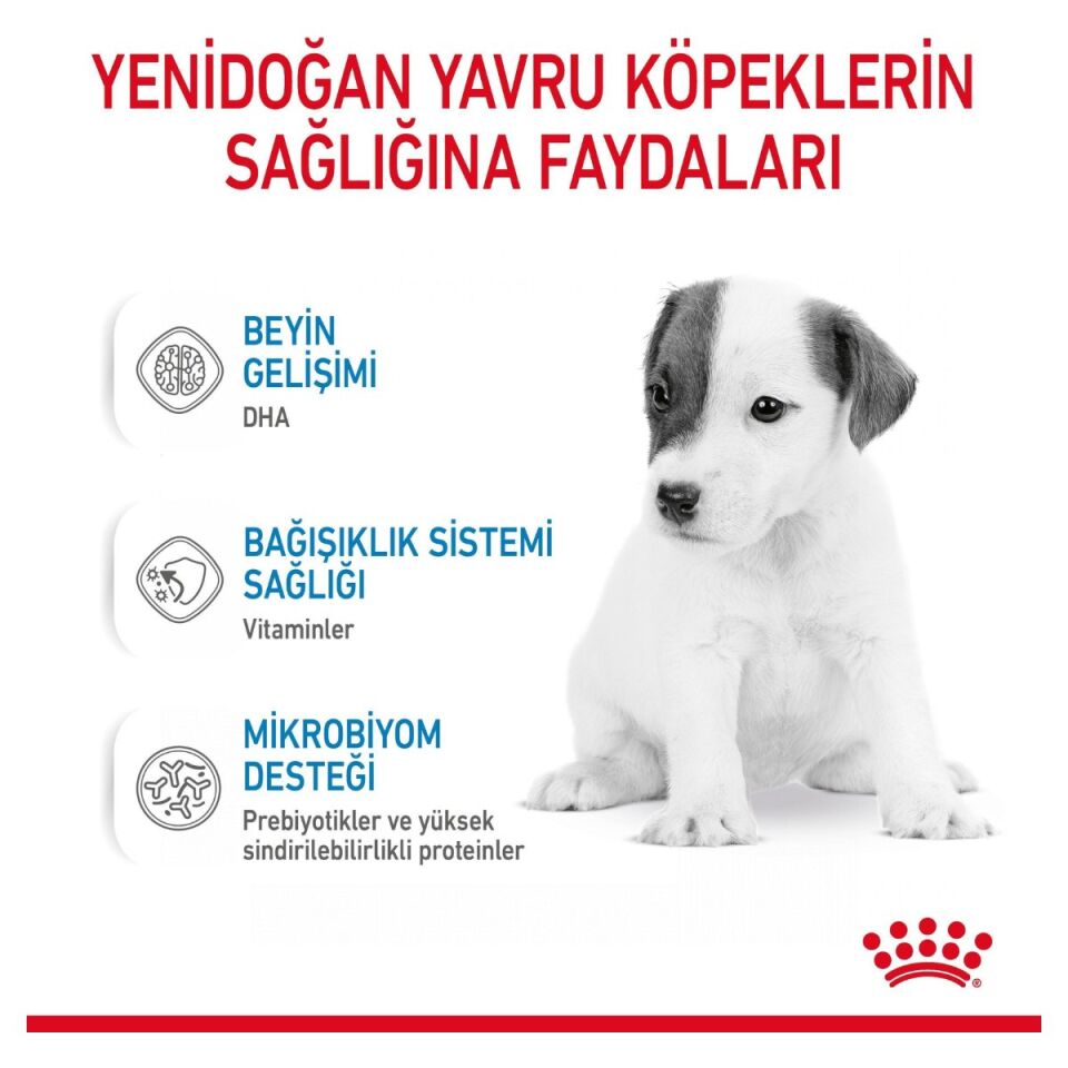 Royal Canin Babydog Milk Yavru Köpek Süt Tozu 400 g sağlığa faydaları