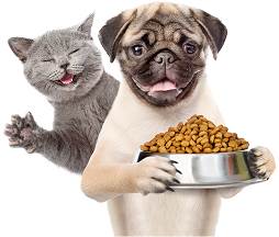 Kedi ve köpek
